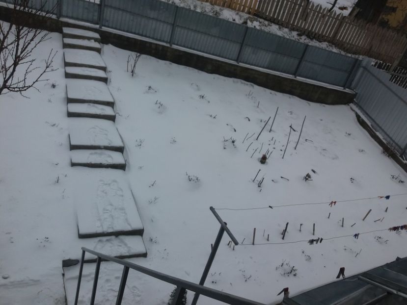  - Primavara lui 2018 in gradina mea