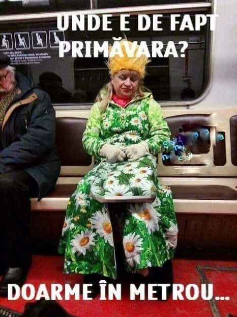 - Poze 1