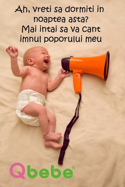  - Poze 1