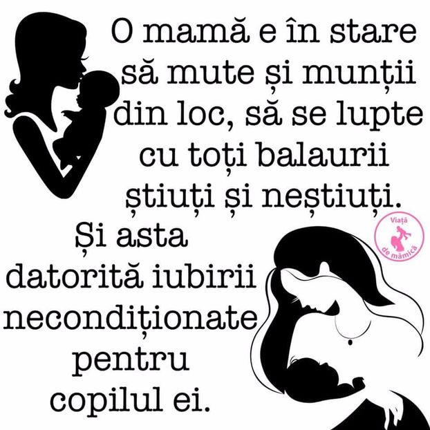  - Poze 1
