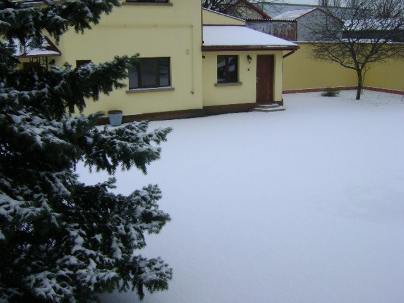 19 mart. 2018 - Minus 5 grade - v Iarna 2016-2017-2018