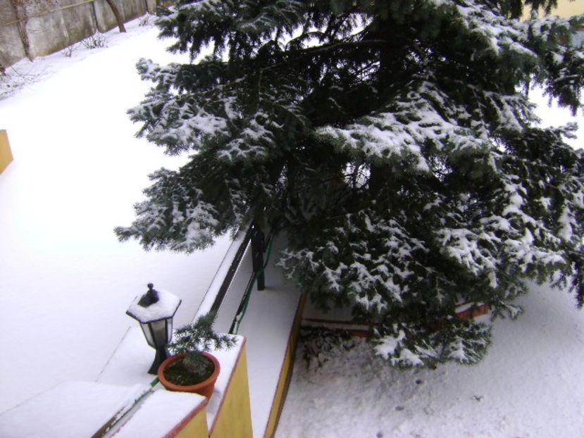 19 mart. 2018 - Minus 5 grade - v Iarna 2016-2017-2018