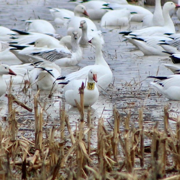  - Un fel de rai pe pământ!
