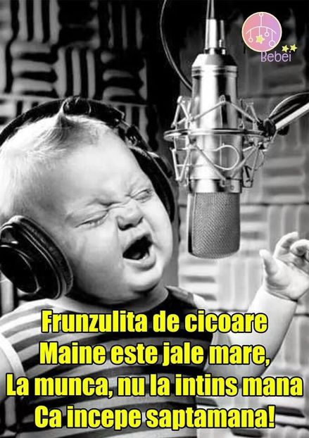  - Poze 1