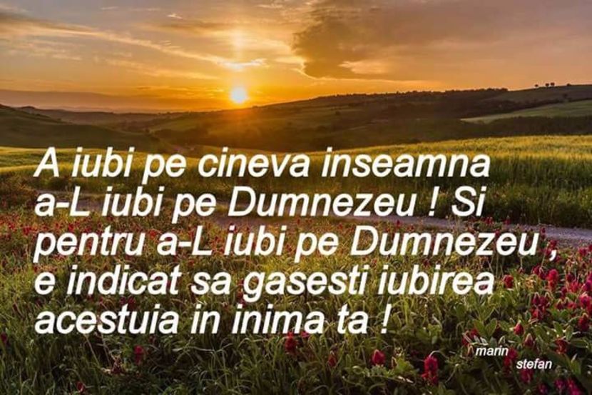  - Poze 1