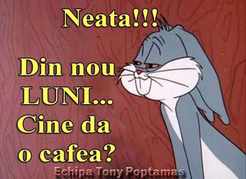  - Poze 1
