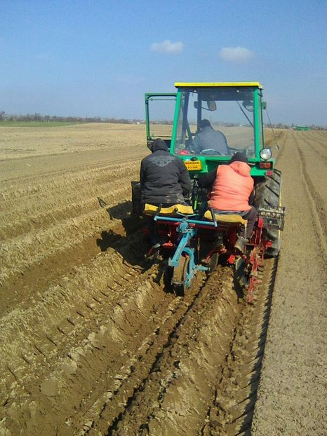 Photo0495 - legumicultura --ocupatia mea