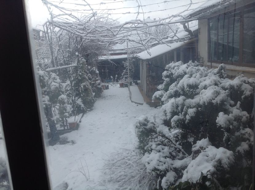  - Gradina feb 2018 un inceput de nou sezon