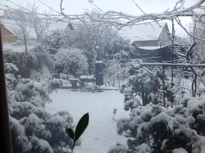  - Gradina feb 2018 un inceput de nou sezon