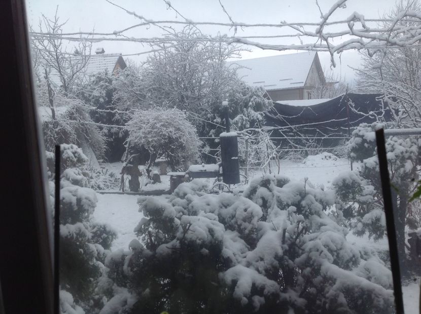  - Gradina feb 2018 un inceput de nou sezon