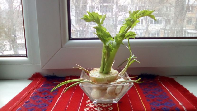  - 4 Picaturi de timp