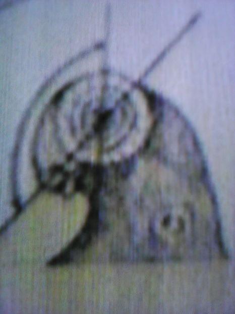  - B E R B E R I  ---    BARBS  PIGEONS