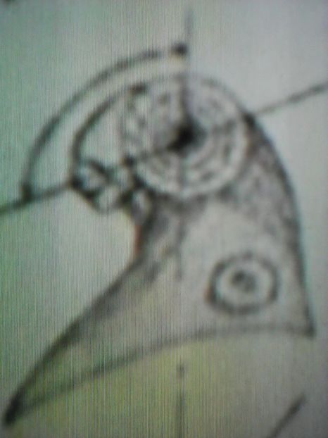  - B E R B E R I  ---    BARBS  PIGEONS