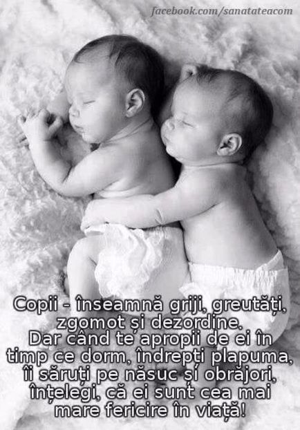  - Poze 1
