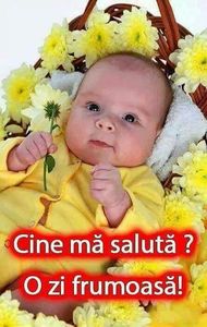  - Poze 1