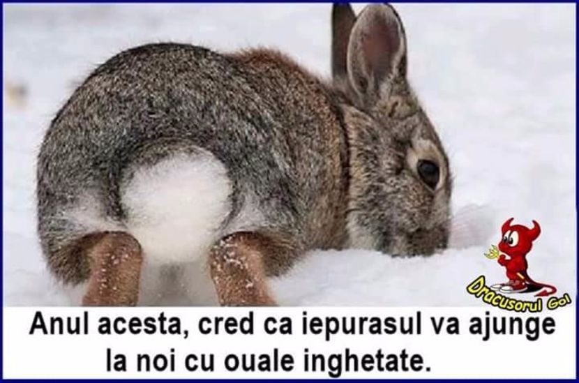  - Poze 1