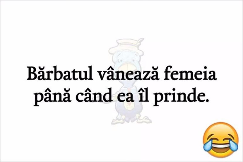  - Poze 1