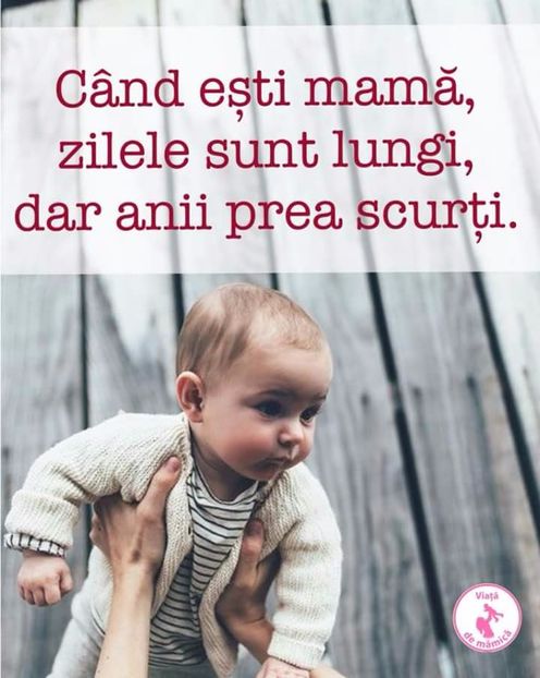  - Poze 1