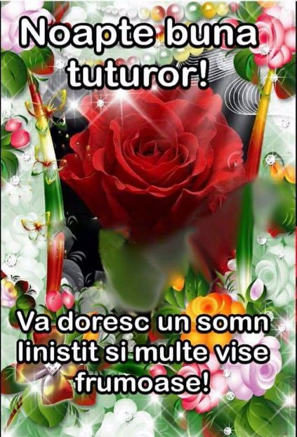  - Poze 1