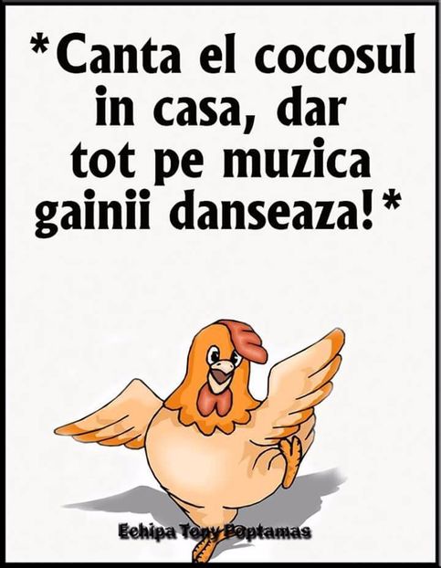  - Poze 1