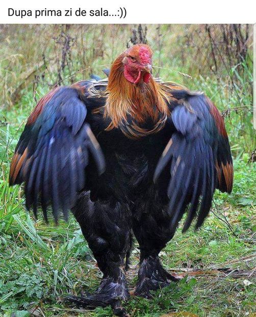 Eurovision 2018 - 2018 Eurovision Song Contest Part 1