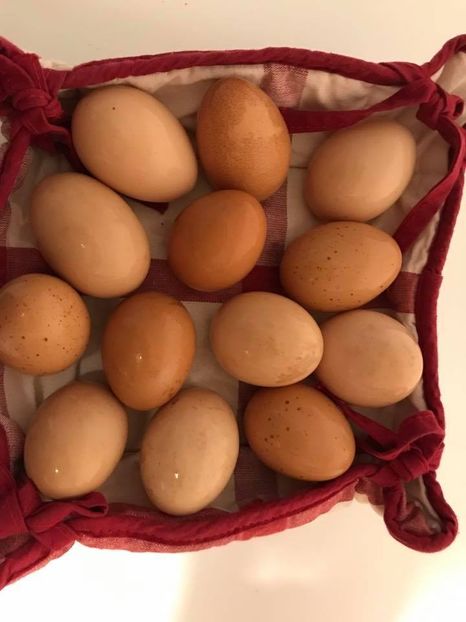 Eurovision 2018 - 2018 Eurovision Song Contest Part 1