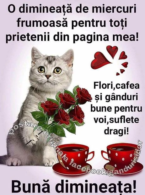  - Poze 1