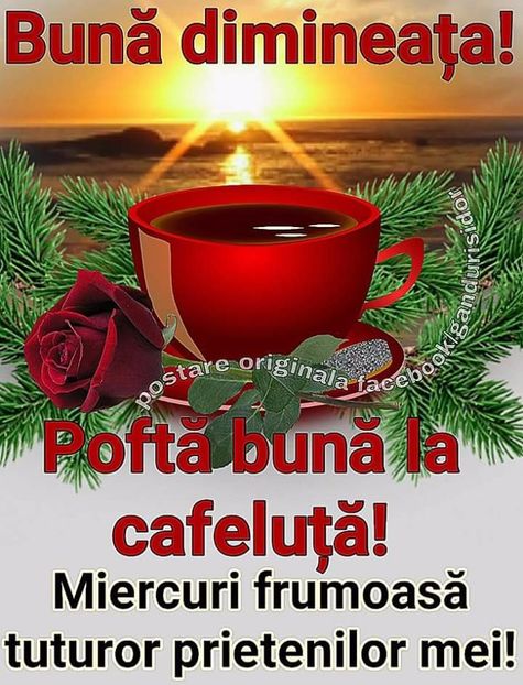  - Poze 1