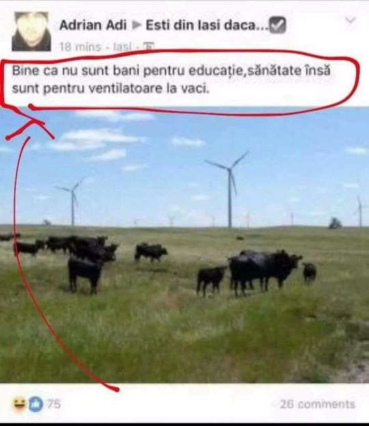  - Poze 1