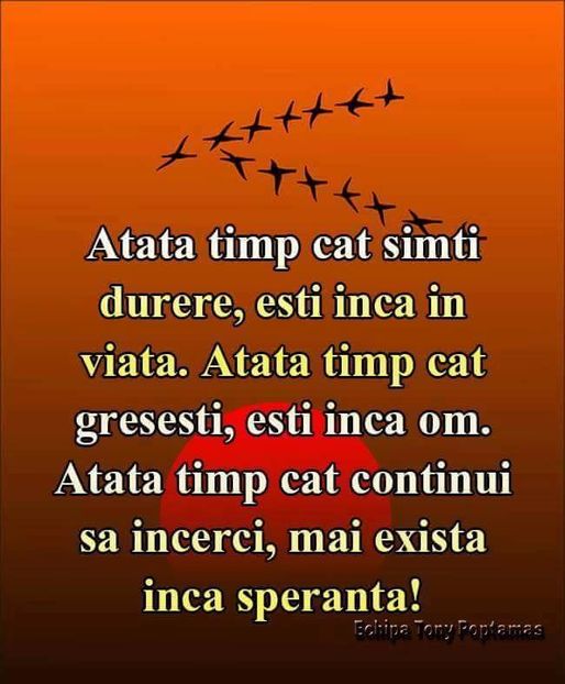  - Poze 1