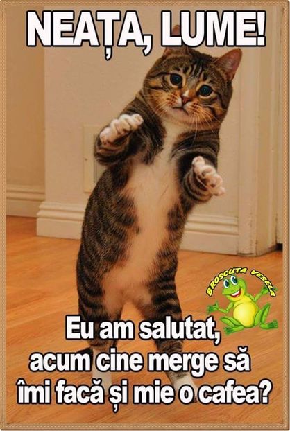  - Poze 1