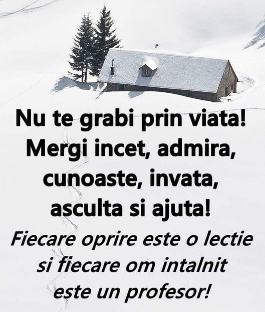  - Poze 1