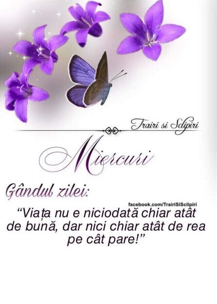  - Poze 1