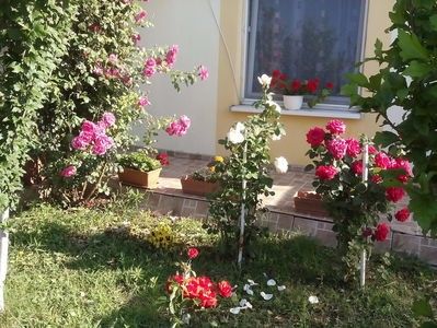 109374114_GKYCYIX - - A - EU