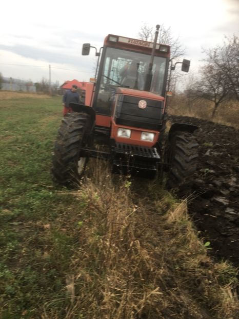 714C97AC-DFB7-4400-83F7-B460C49C5B67 - ARATURA DE TOAMNA