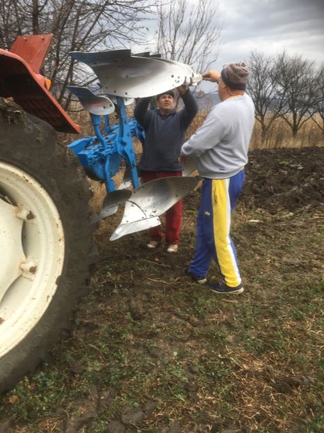 3481AC84-6C7A-4356-BF2E-75AC41C193FF - ARATURA DE TOAMNA