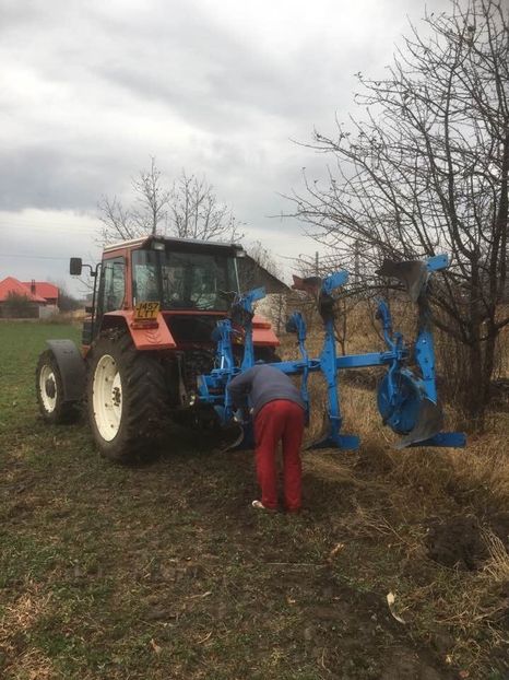 CE62F899-6ECF-4D41-BF05-9432FC14A508 - ARATURA DE TOAMNA