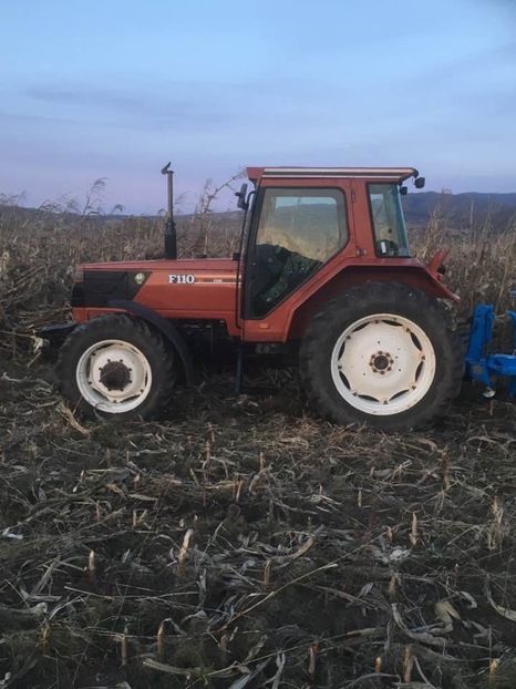 3DF93B44-3BF3-4F64-AD31-CF90B0AB284F - ARATURA DE TOAMNA