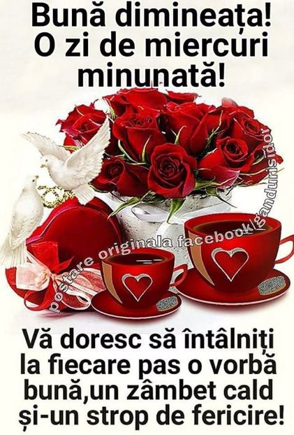  - Poze 1