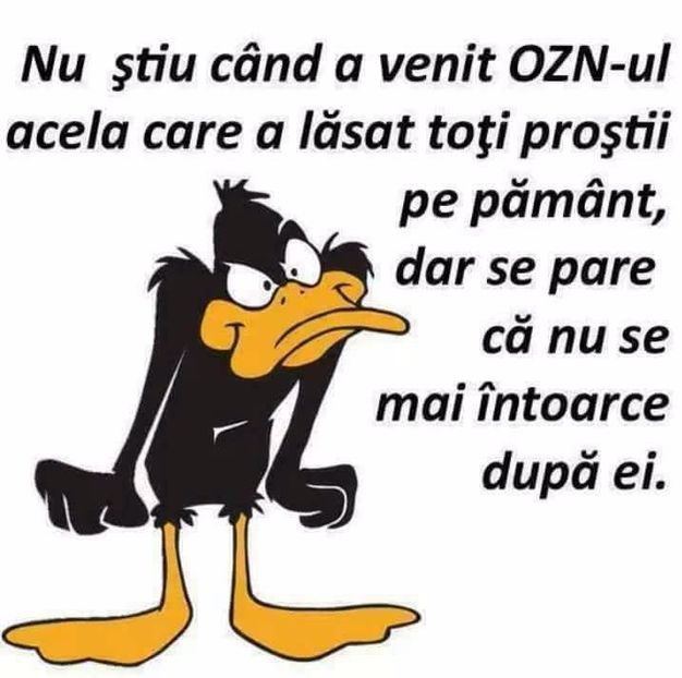  - Poze 1