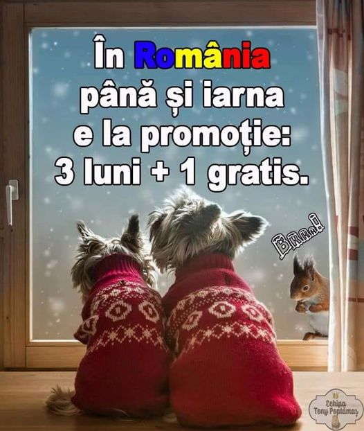  - Poze 1
