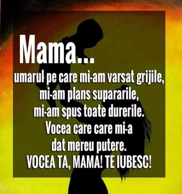 - Poze 1