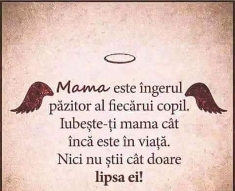  - Poze 2