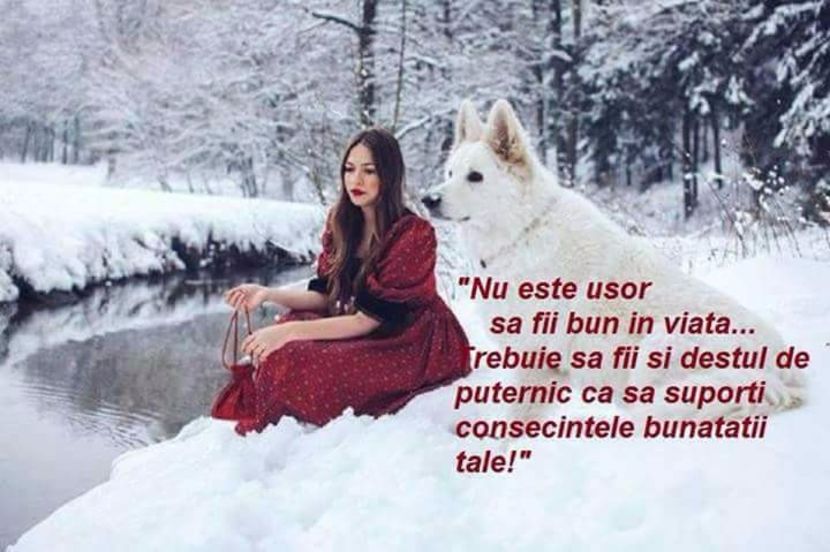  - Poze 2