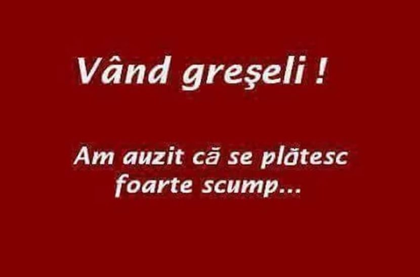  - Poze 2