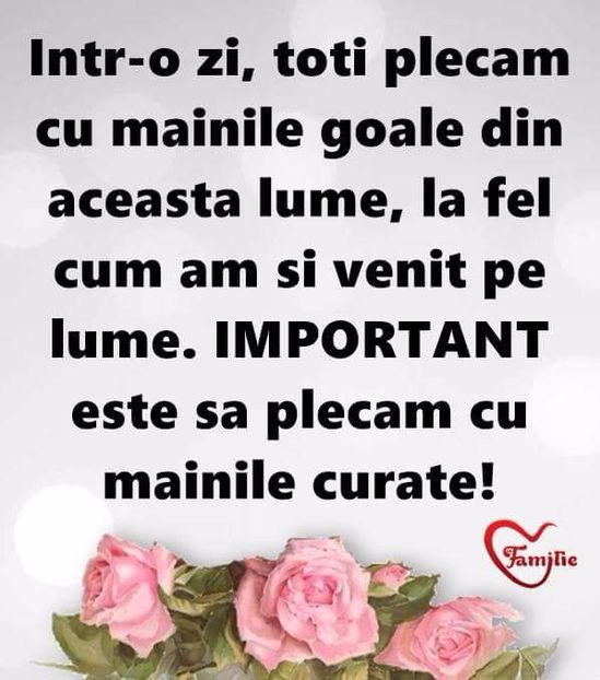  - Poze 2