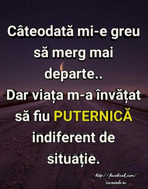  - Poze 2