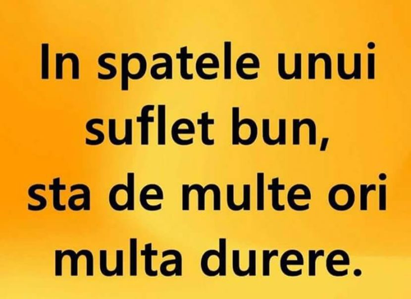  - Poze 2