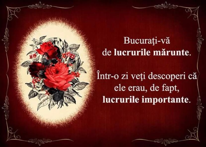  - Poze 2