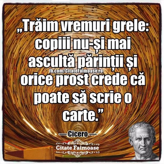  - Poze 2
